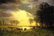 Albert Bierstadt The_Buffalo_Trail painting